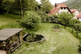 Blick in den Garten