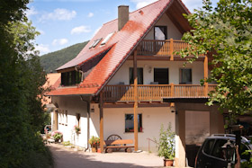 Haus mit Hunnenstein